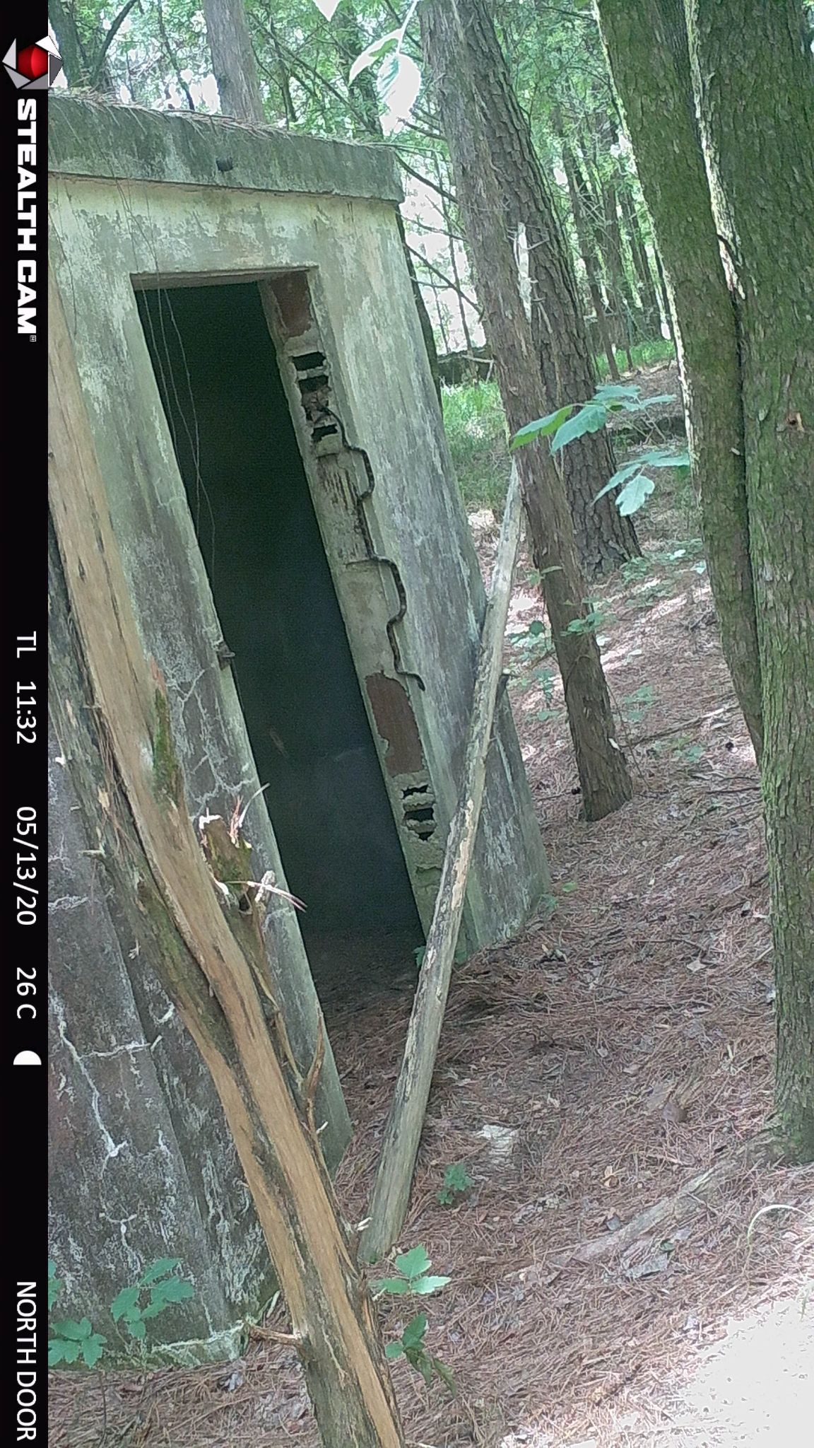 3 descending doorway